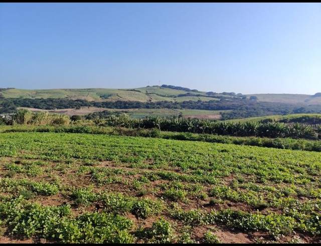 LAND FOR SALE IN GENAZZANO